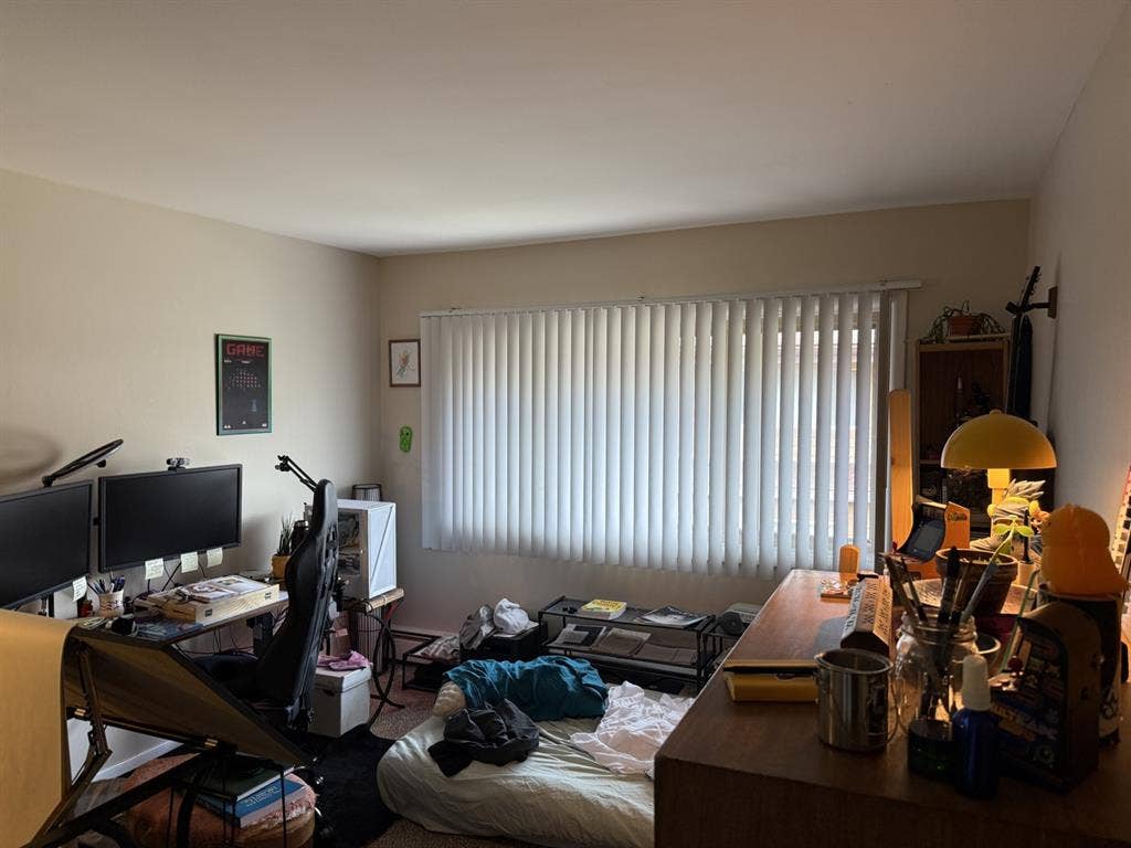 Looking for a roommate