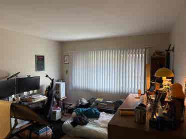 Looking for a roommate