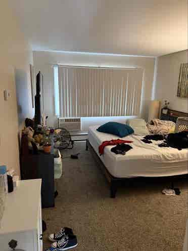 Looking for a roommate