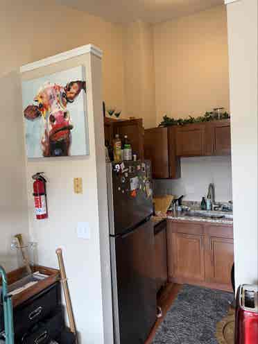 Looking for a roommate