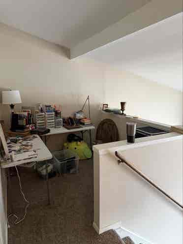Looking for a roommate