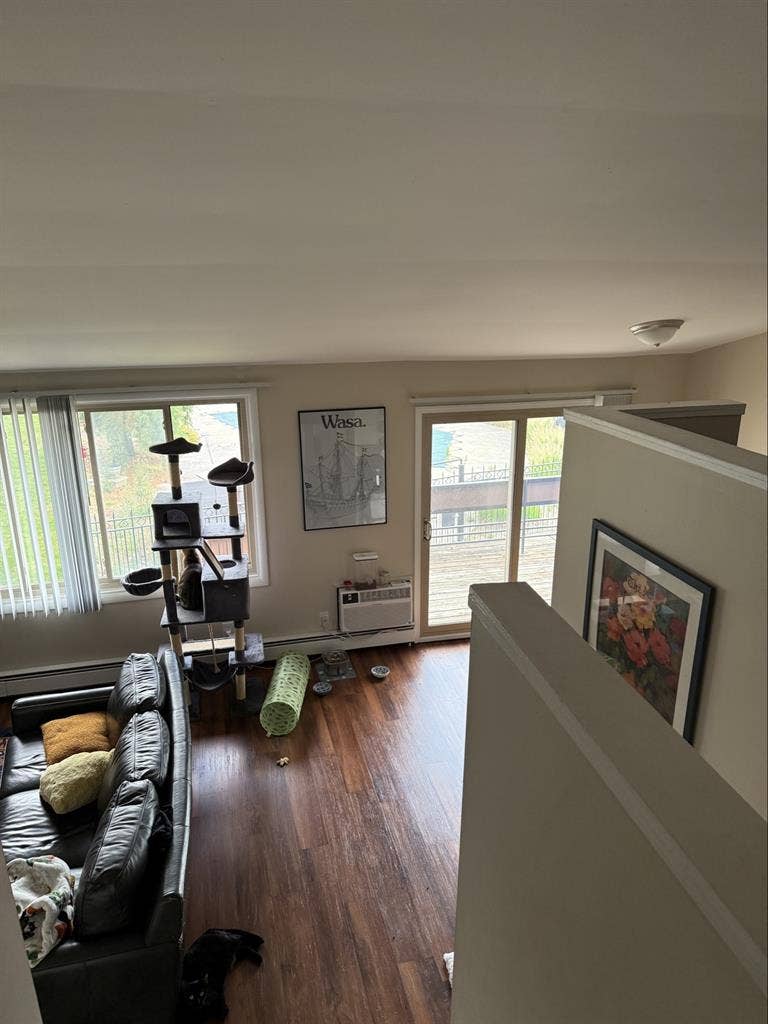 Looking for a roommate