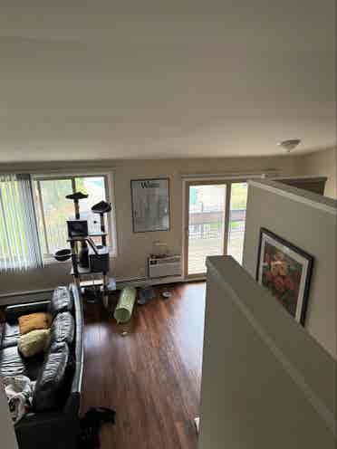 Looking for a roommate