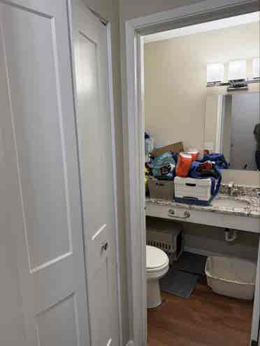 Looking for a roommate