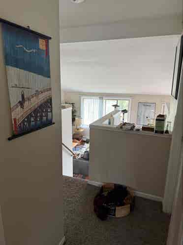Looking for a roommate