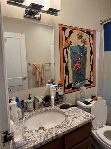 Looking for a roommate