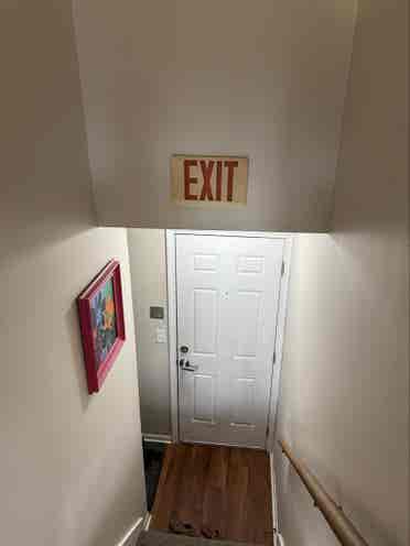 Looking for a roommate