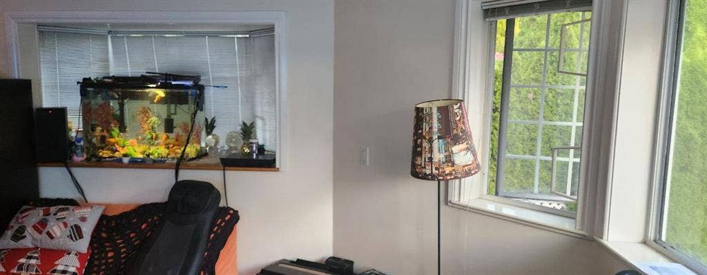 Large beautifull well designed room