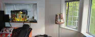 Large beautifull well designed room