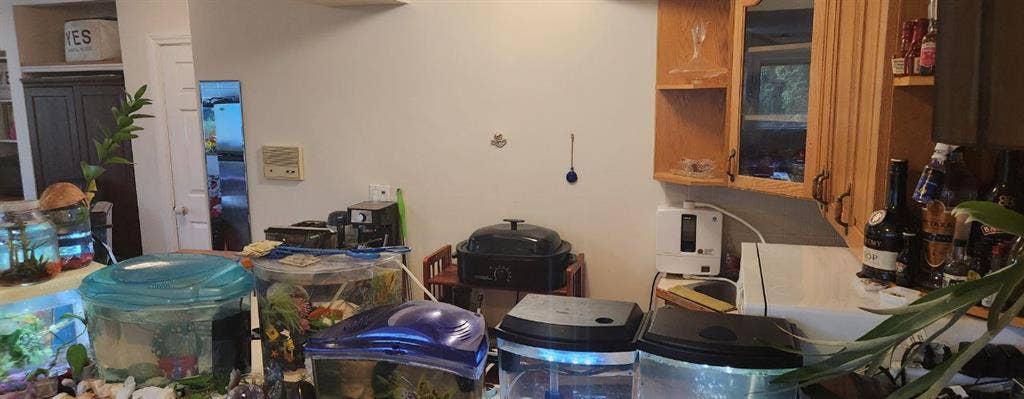 Large beautifull well designed room