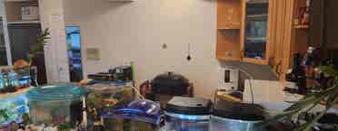 Large beautifull well designed room