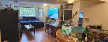 Large beautifull well designed room