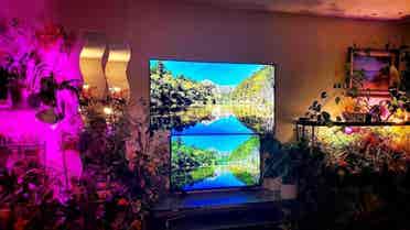 Large beautifull well designed room