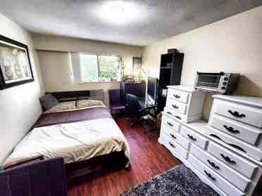 Large beautifull well designed room