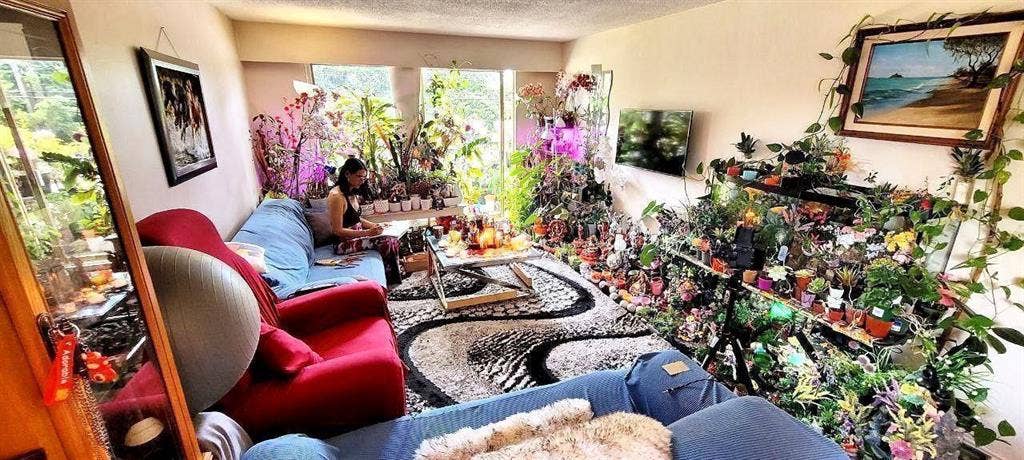 Large beautifull well designed room