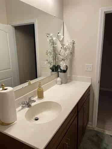 Room for rent $/monthhs