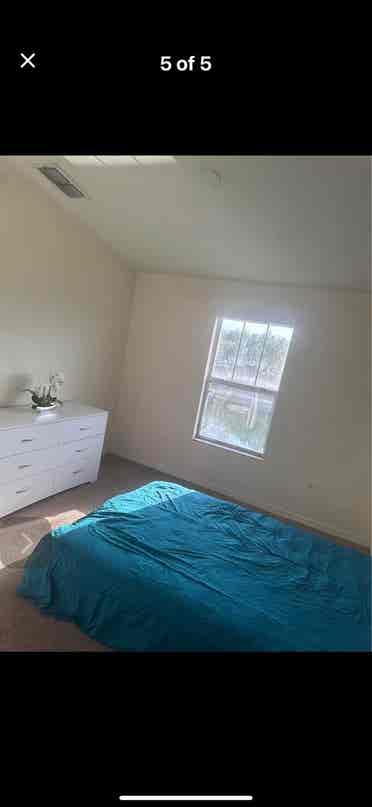 Room For Rent