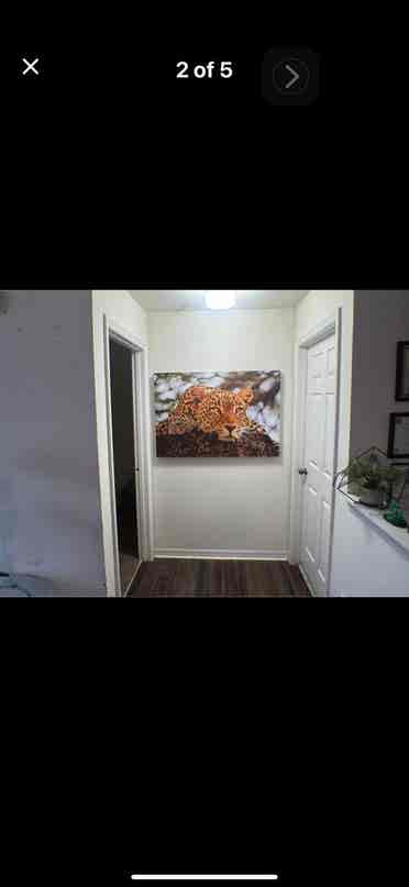 Room For Rent