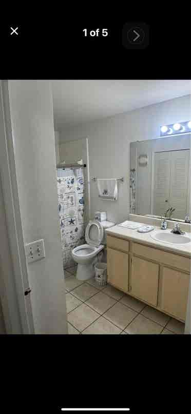 Room For Rent