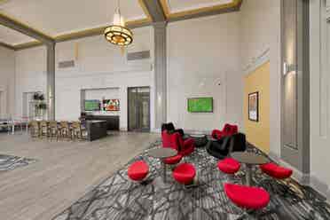 Fully Furnished -  1 Bedroom 🌟