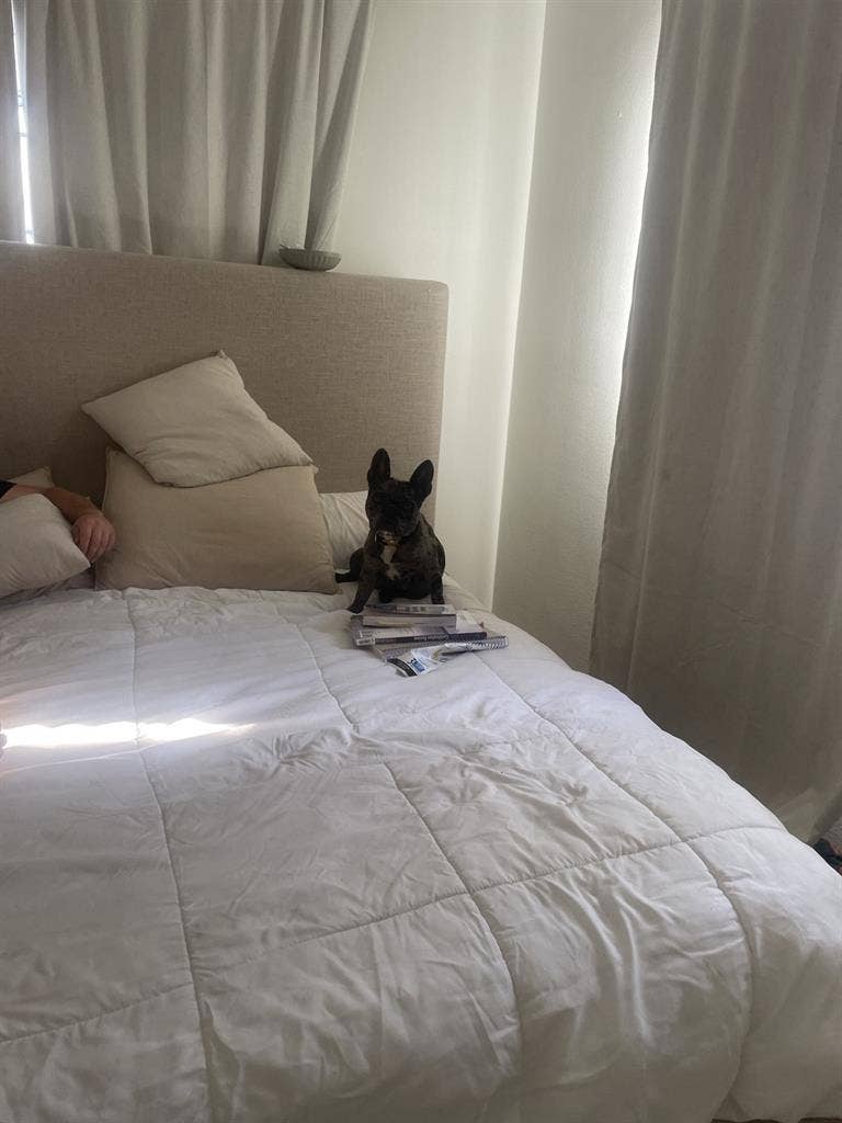 1bed and bath for rent in San Pedro