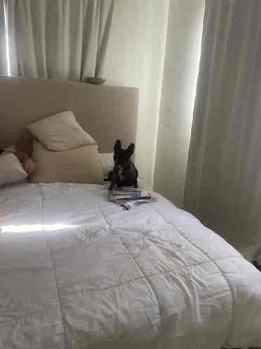 1bed and bath for rent