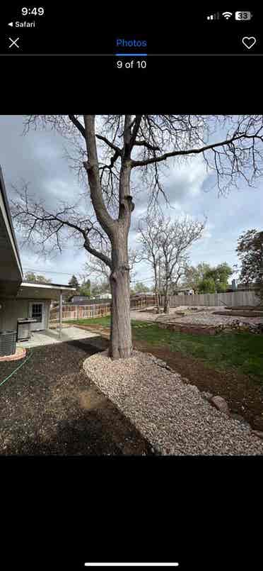 Great house with a big backyard