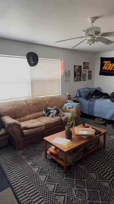 Looking to sublease!