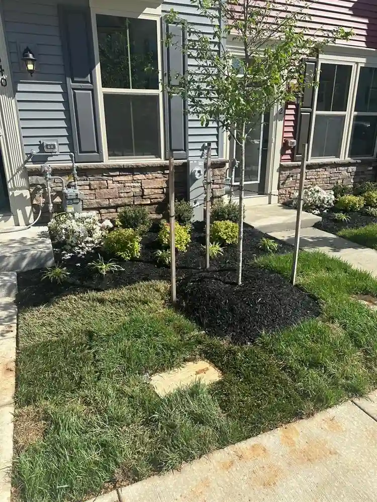 Bedroom With Own Bathroom