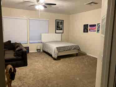 Huge room for rent