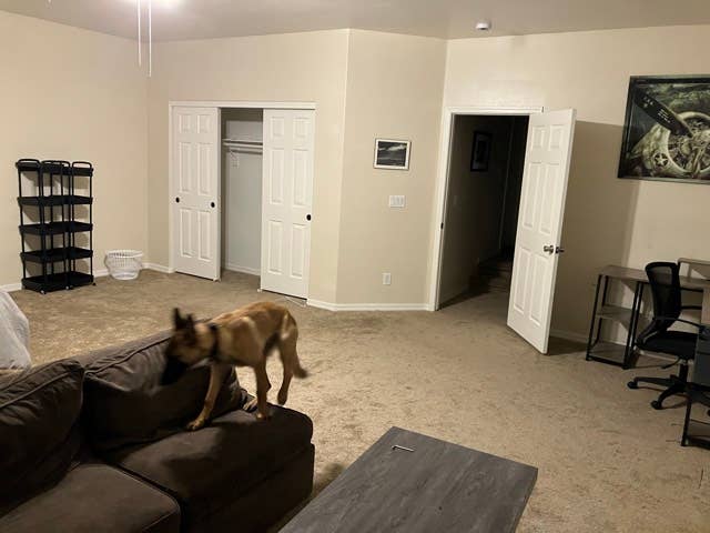 Huge room for rent