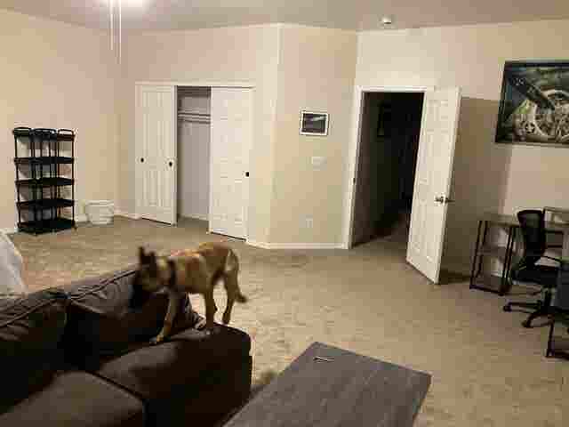 Huge room for rent