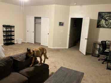 Huge room for rent