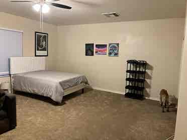 Huge room for rent