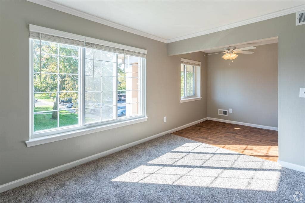 Looking for a roommate for Woodbury