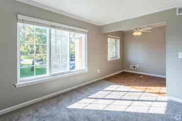 Looking for a roommate for Woodbury