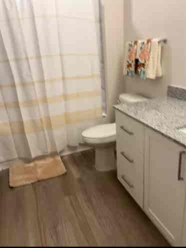 $ 
- Luxury Apartment 1 
Bed/Bath