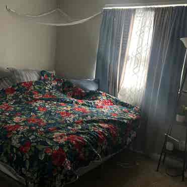 Roommate wanted