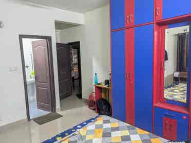Looking for a roommate