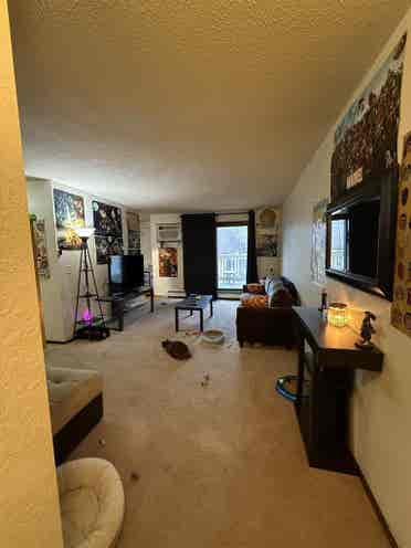 Affordable Apartment ASAP!!