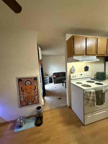 Affordable Apartment ASAP!!