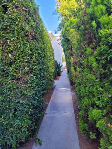 female roommate needed SantaMonica
