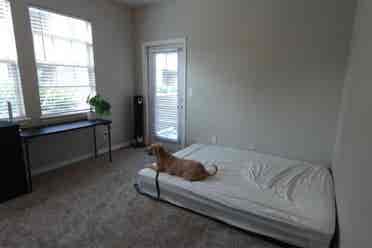 Luxury Apartment With Onsite Trails
