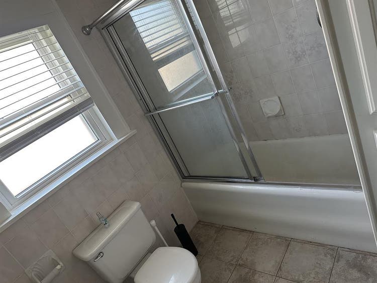 Roommates Wanted!