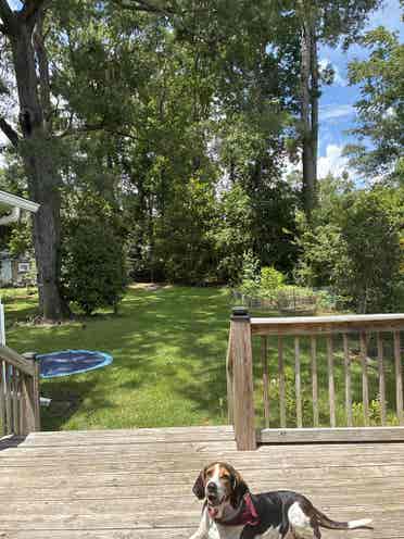 1 Room for Rent in Forestbrook