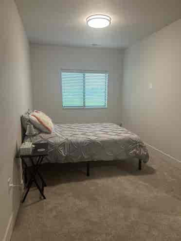 Need a roommate