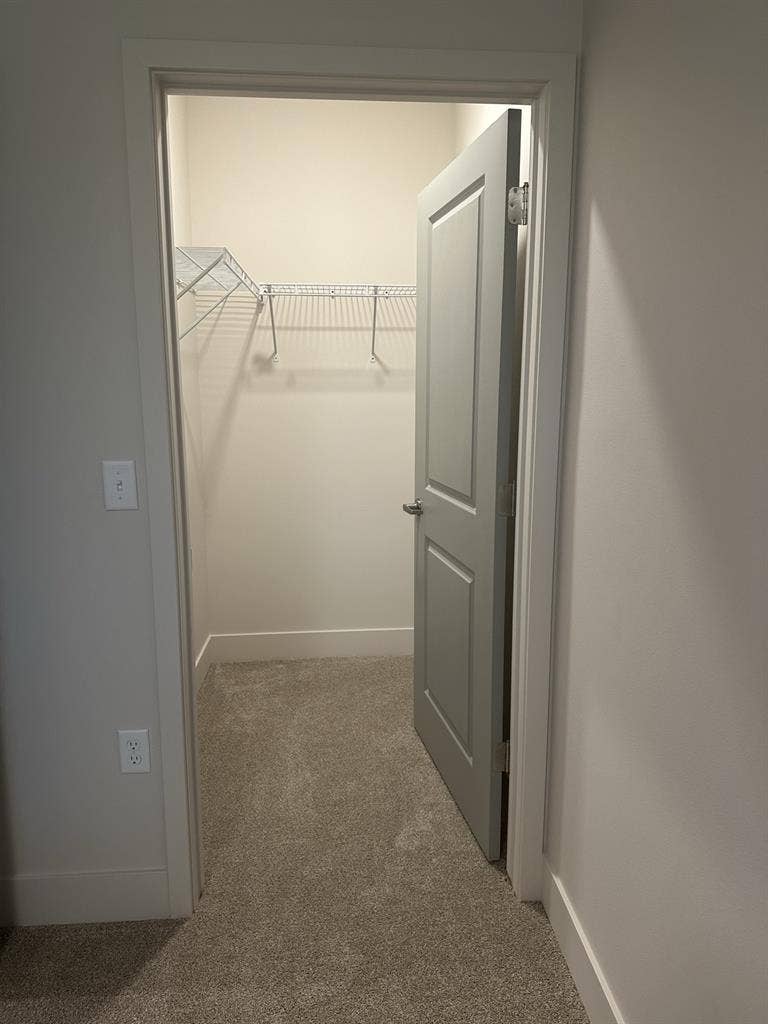 Need a roommate