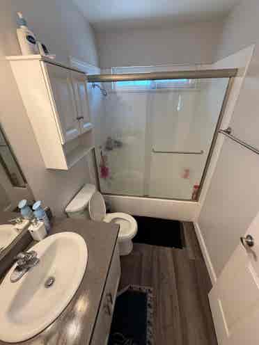 Looking for a Flatmate