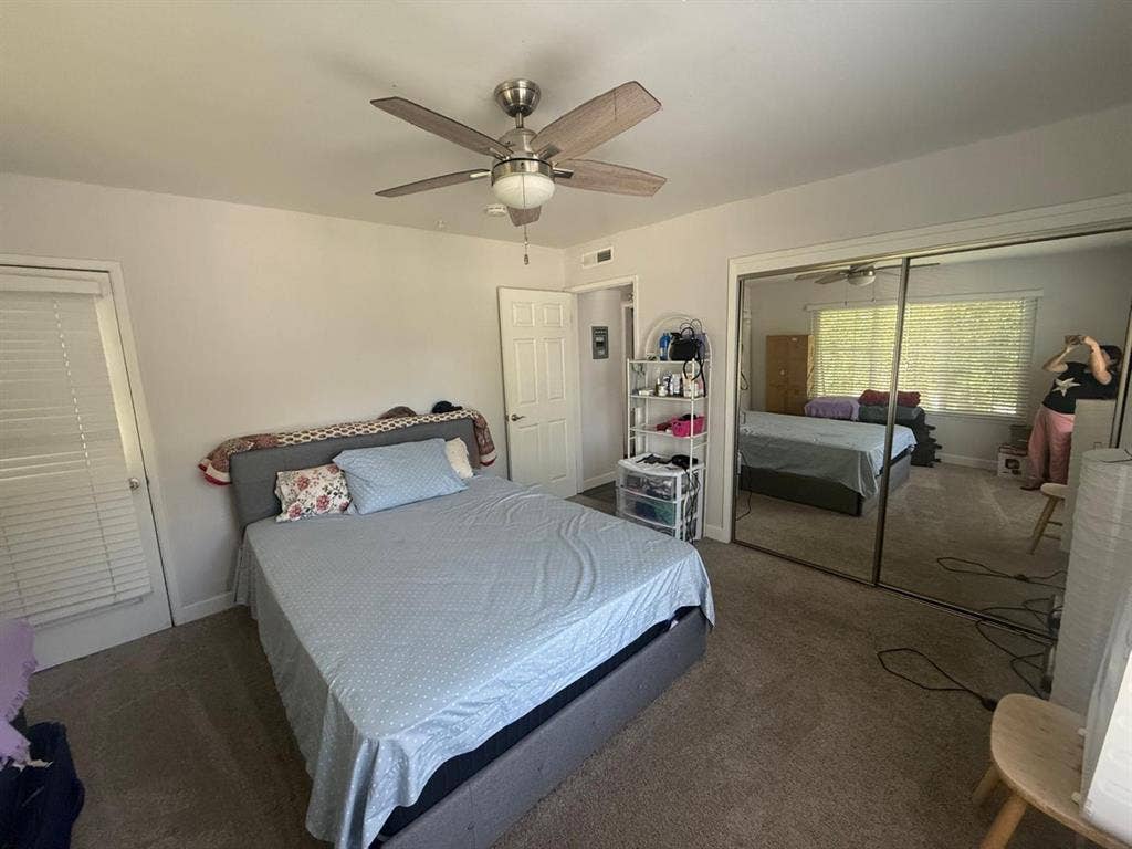 Looking for a Flatmate