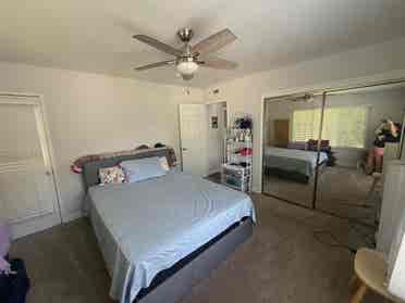 Looking for a Flatmate